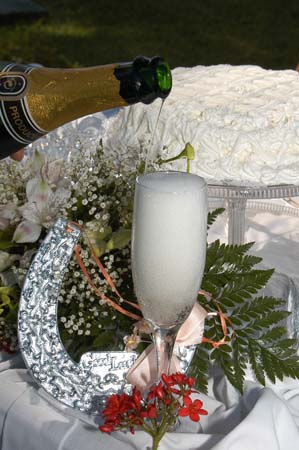 Julie and Tony's  Wedding 064